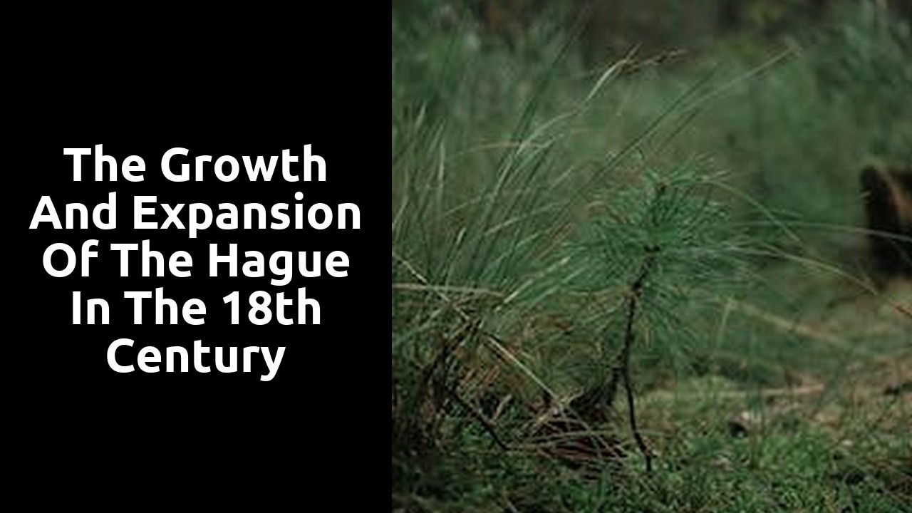 The growth and expansion of The Hague in the 18th century