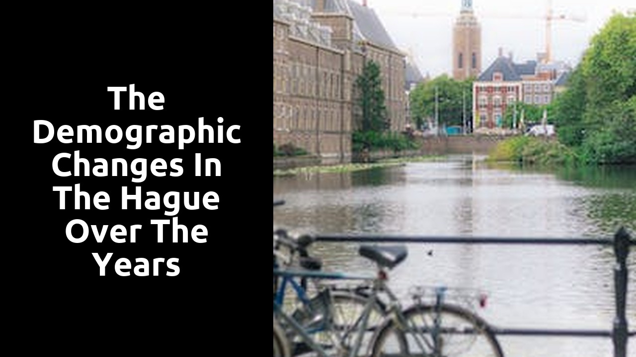 The demographic changes in The Hague over the years