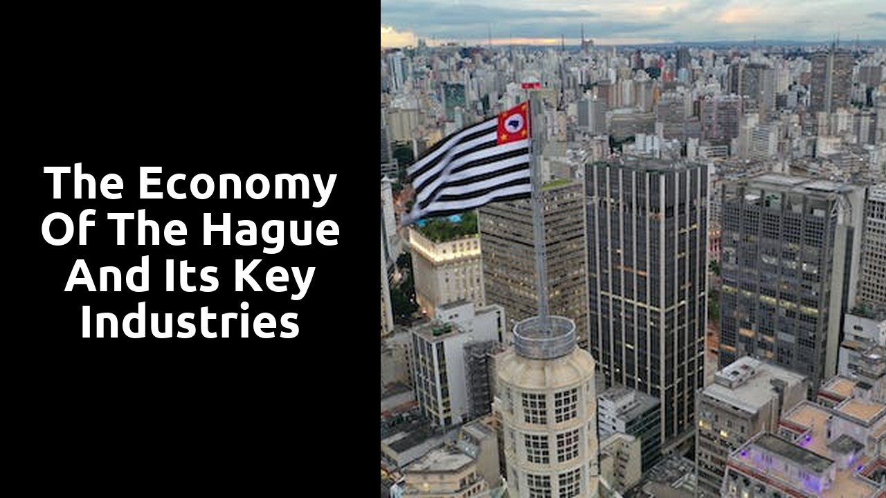 The economy of The Hague and its key industries