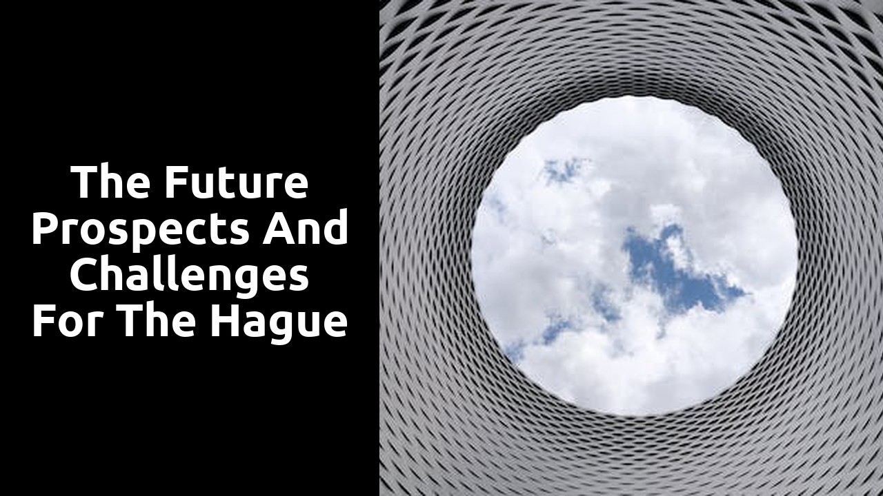 The future prospects and challenges for The Hague